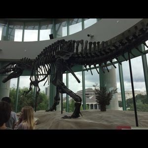 Meet your Posher, Beverly